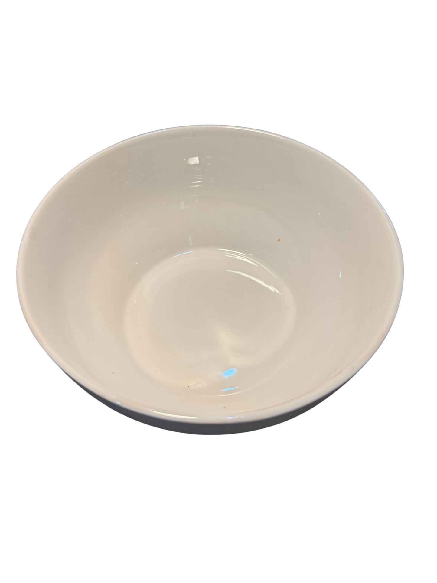 Salad Bowl Large 25cm Mila Kitchenware and Equipment Limited