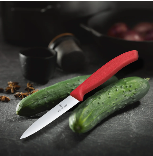 Victorinox Knife- Paring 100mm Mila Kitchen Ghana (www.milakitchen.com)