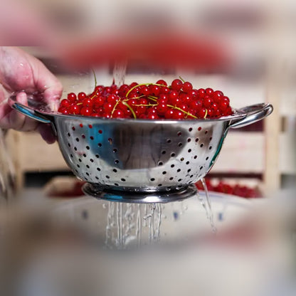 Colander Stainless Steel