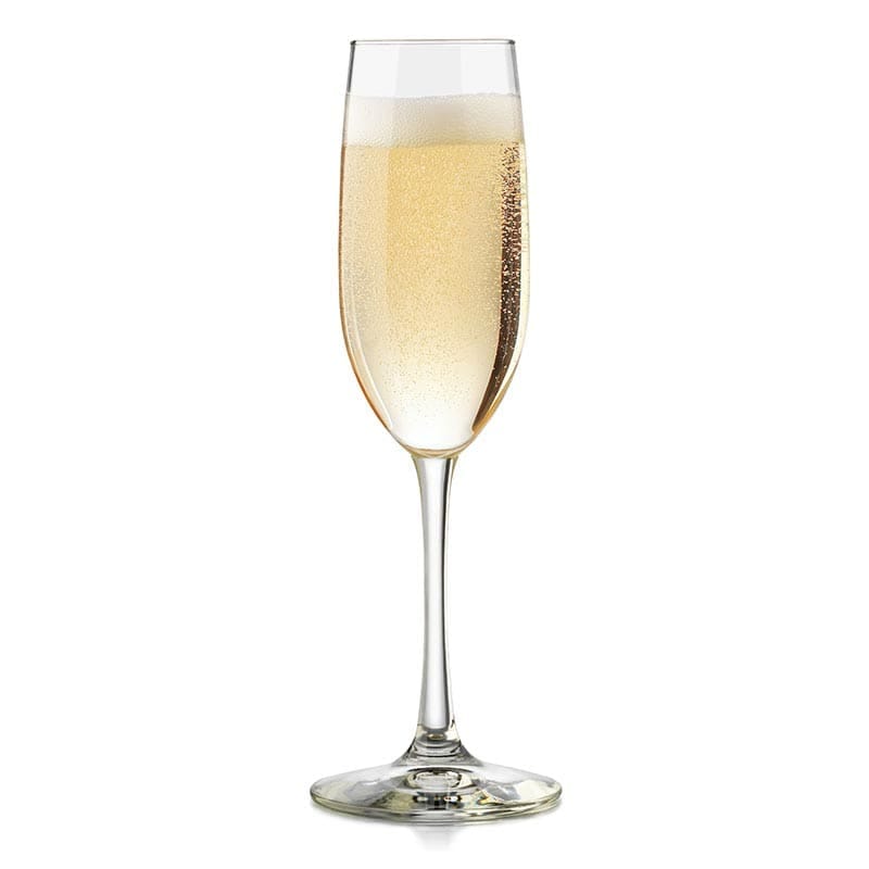 Champagne Glass (6pcs in a pack) Mila Kitchenware and Equipment Limited