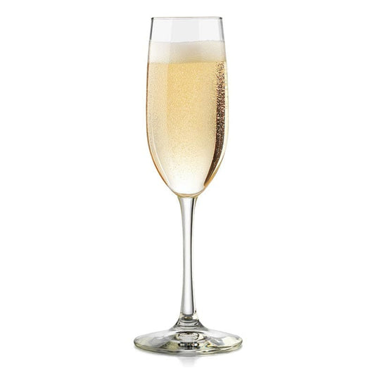 Champagne Glass (6pcs in a pack) Mila Kitchenware and Equipment Limited